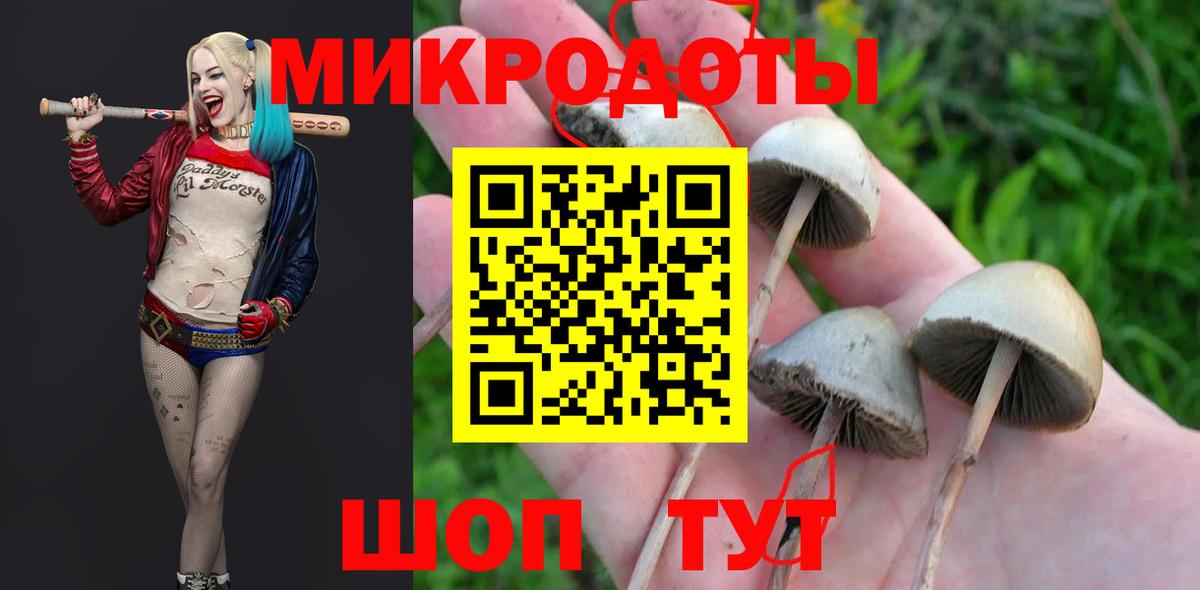 Галлюциногенные грибы Magic Shrooms Архангельск